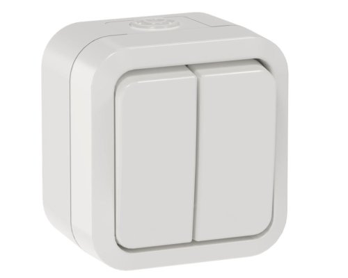 TORS Выключатель 2-клавишный TS305 открытой установки 10А IP55 белый (TS-V20-0-10-55-K01)