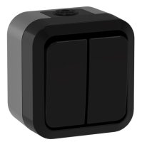 TORS Выключатель 2-клавишный проходной TS125 открытой установки 10А IP55 графит (TS-V22-0-10-55-K53)