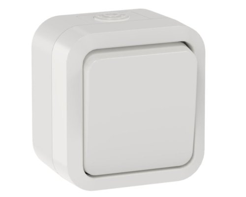 TORS Выключатель кнопочный TS310 открытой установки 10А IP55 белый (TS-V14-0-10-55-K01)