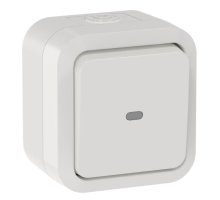 TORS Переключатель 1-клавишный с индикацией TS302 открытой установки белый (TS-V10-1-10-55-K01)