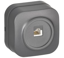 Розетка компьютерная 1-местная RJ45 кат.5E GLORY РК10-ХСм открытой установки сталь матовый (EKH10-K46M)