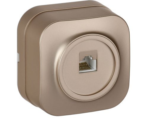 Розетка компьютерная 1-местная RJ45 кат.5E GLORY РК10-ХШм открытой установки шампань матовый (EKH10-K37M)