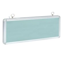 Светильник аварийного освещения EXIT-100 (EXIT-SS-100-LED)