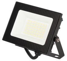 PRO LPR-062-0-65K-030 30Вт 6500K IP65 (Б0064687)