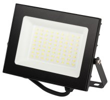 PRO LPR-062-0-65K-050 50Вт 6500K IP65 (Б0064625)
