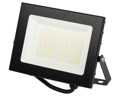 PRO LPR-062-0-65K-050 50Вт 6500K IP65 (Б0064625)