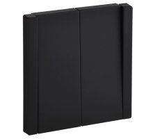 FORTE&PIANO Выключатель 2-клавишный перекрестный FP109M скрытой установки 10А металл черный (FP-V23-0-10-1-M-K02)