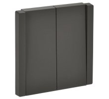 FORTE&PIANO Выключатель 2-клавишный проходной FP307 скрытой установки 10А серый (FP-V22-0-10-1-K03)