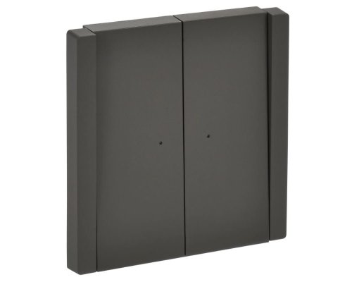 FORTE&PIANO Выключатель 2-клавишный проходной с индикацией FP308 скрытой установки 10А серый (FP-V22-1-10-1-K03)