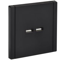 FORTE&PIANO Розетка USB A+A 3,1А FP149 скрытой установки черный (FP-U21-D31-K02)