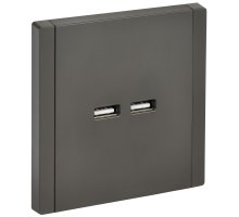 FORTE&PIANO Розетка USB A+A 3,1А FP349 скрытой установки серый (FP-U21-D31-K03)