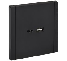 FORTE&PIANO Розетка USB A+C 3,1А FP150 скрытой установки черный (FP-U22-D31-K02)