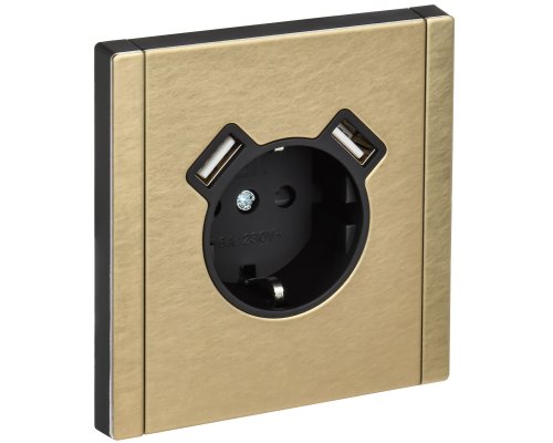 FORTE&PIANO Розетка USB A+A 3,1А FP645M с заземлением с защитными шторками винтовое крепление скрытой установки 16А металл шампань (FP-R14-16-U21-D31-M-K37)