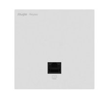 RG-RAP1261