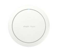 RG-RAP2266
