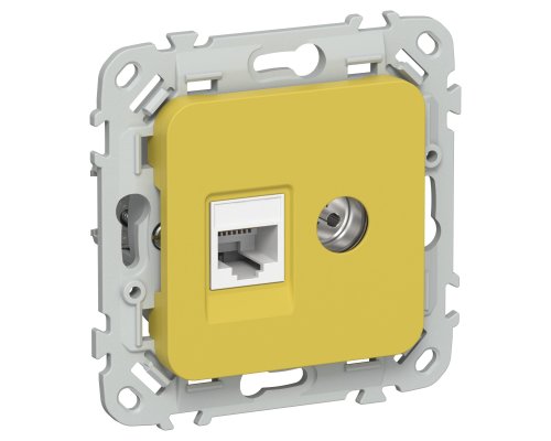FLITE Розетка 2-местная RJ45/TV кат 5Е UTP РКТВ5е-2-0-ФлЖК скрытой установки желтый карри (FI-AK22-1-K44)