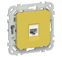 FLITE Розетка компьютерная RJ45 кат 5Е UTP РК5е-1-0-ФлЖК скрытой установки желтый карри (FI-K12-1-K44)