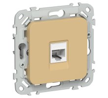 FLITE Розетка компьютерная RJ45 кат 6 UTP РК6-1-0-ФлШм скрытой установки шамуа (FI-K12-2-K89)