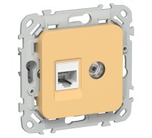 FLITE Розетка 2-местная RJ45/TV кат 5Е UTP РКТВ5е-2-0-ФлЗ золотарник(FI-AK22-1-K90)
