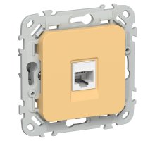 FLITE Розетка компьютерная RJ45 кат 5Е UTP РК5е-1-0-ФлЗ золотарник(FI-K12-1-K90)