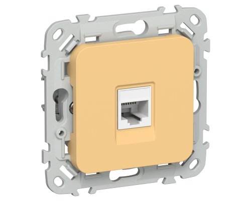 FLITE Розетка компьютерная RJ45 кат 6 UTP РК6-1-0-ФлЗ золотарник(FI-K12-2-K90)