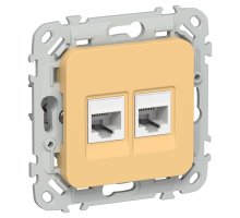 FLITE Розетка 2-местная RJ45/RJ11 кат 5Е/3 UTP РКТ5е/3-2-0-ФлЗ золотарник(FI-KT22-1-K90)
