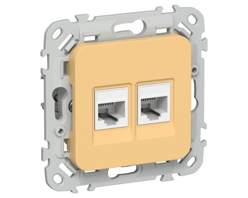 FLITE Розетка 2-местная RJ45/RJ11 кат 5Е/3 UTP РКТ5е/3-2-0-ФлЗ золотарник(FI-KT22-1-K90)