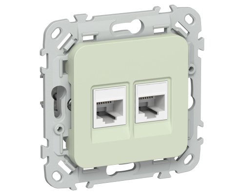 FLITE Розетка 2-местная RJ45/RJ11 кат 5Е/3 UTP РКТ5е/3-2-0-ФлП скрытой установки панг(FI-KT22-1-K92)