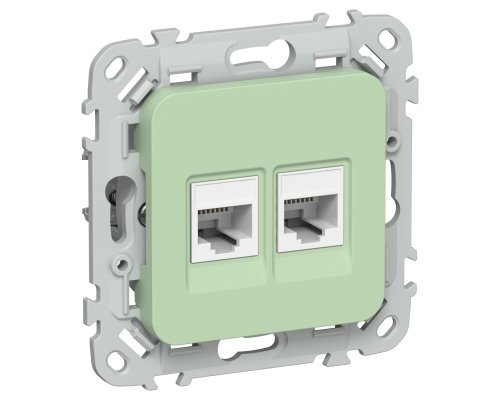 FLITE Розетка 2-местная компьютерная RJ45 кат 5Е UTP РК5е-2-0-ФлФ скрытой установки фисташковый (FI-K22-1-K93)