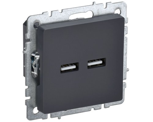 Розетка USB BRITE A+A 5В 3,1А РЮ10-1-БрГ скрытой установки графит (BR-U21-D31-K53)