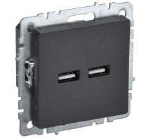 Розетка USB BRITE A+A 5В 3,1А РЮ10-1-БрЧ скрытой установки черный (BR-U21-D31-K02)
