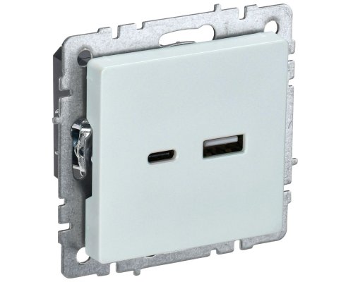 Розетка USB BRITE A+C 18Вт РЮ11-1-БрЖ скрытой установки жемчуг (BR-U22-018-K36)