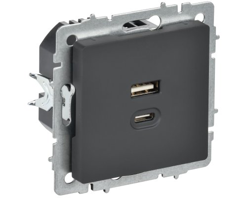 Розетка USB BRITE A+C 45Вт высокоскоростная зарядка РЮ11-2-БрГ скрытой установки графит (BR-U22-045-K53)
