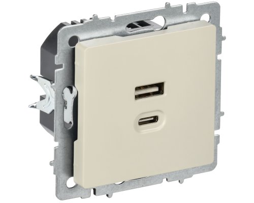 Розетка USB BRITE A+C 45Вт высокоскоростная зарядка РЮ11-2-БрКр скрытой установки бежевый (BR-U22-045-K10)